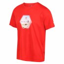 Fingal VI Graphic T-Shirt Rot S