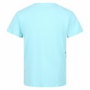 Cline VI Graphic T-Shirt Blau S